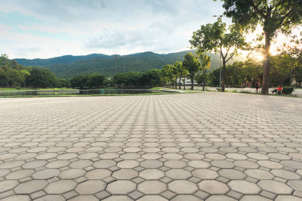 Best Residential Paver Driveway  in Topaz Ranch Estates, NV